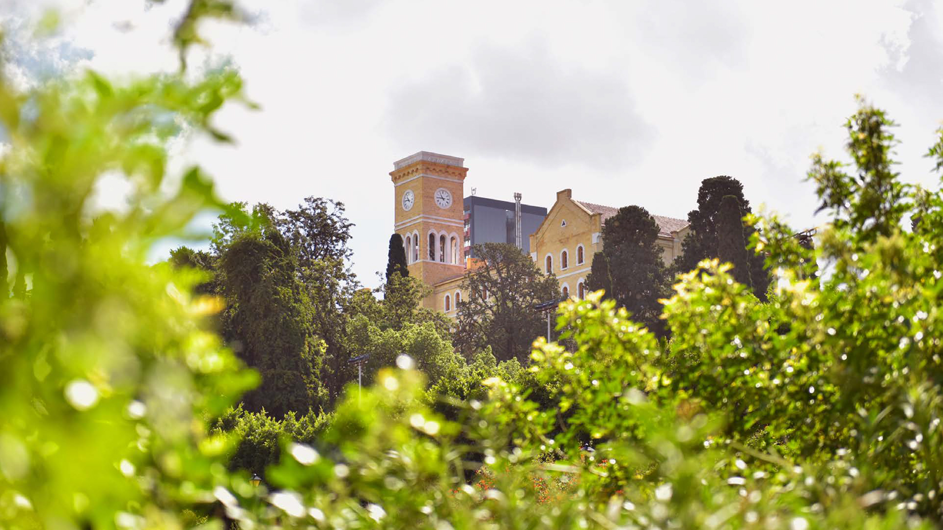 Undergraduate Coursework at AUB